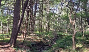 0 COUNTY ROUTE 41, Afton, NY 13730