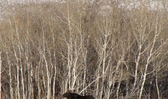 nhn Ranger Way lot Bvr 942-3, Belfry, MT 59008