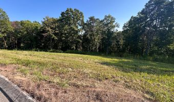 Watauga Lane lot 29, Birchwood, TN 37308