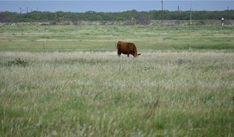 State HWY 79, Archer City, TX 76374