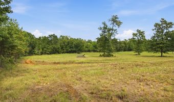 115355 115353 CR 2501, Alto, TX 75925