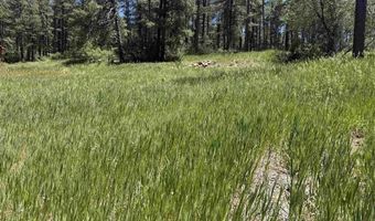 473 Alpine Forest Dr, Bayfield, CO 81122