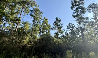 Black Hills Street lot 4, Alford, FL 32420