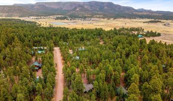2 County Road 2069, Alpine, AZ 85920