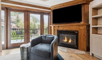 415 E Dean St Unit 22 Week 26, Aspen, CO 81611