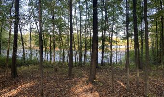 9540 Vincent Ave SE, Alto, MI 49302