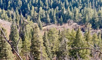 705 NM-120, Angel Fire, NM 87710