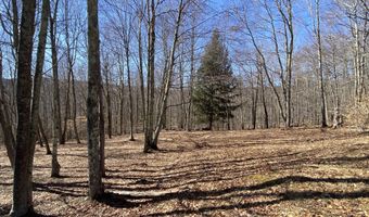 L22.2 Alder Pond Road, Andes, NY 13740