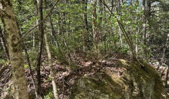 Route 9 lot 13, Aurora, ME 04428