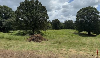 Tract 1 County Road 656, Anderson, AL 35610