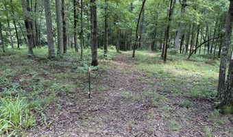 ROCK ISLAND POINT lot 3 & 4, Arley, AL 35541