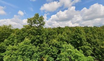 County Road 200, Alton, MO 65606