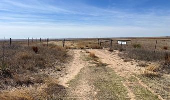 E 230 Rd, Beaver, OK 73932