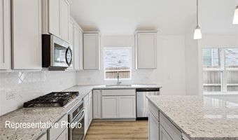 1313 Staffords Point Ln, Anna, TX 75409