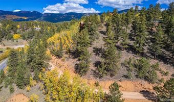 103 Gross Rd, Bailey, CO 80421