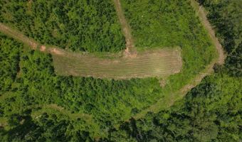 County Road 53, Banks, AL 36005