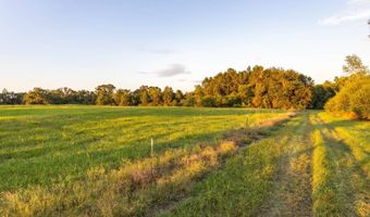 100 Acres Harmony Church Rd, Andalusia, AL 36421