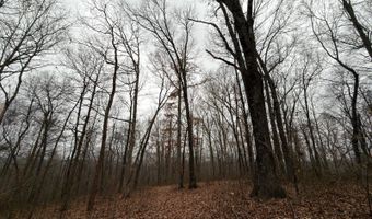 TBD1 E Willow Rd, Bloomfield, IN 47424