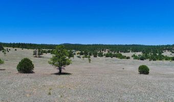 22750 County Rd 46, Aguilar, CO 81020