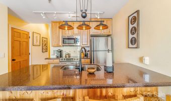 35 Patton Ave 302, Asheville, NC 28801