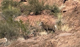 240 3rd St, Clifton, AZ 85533