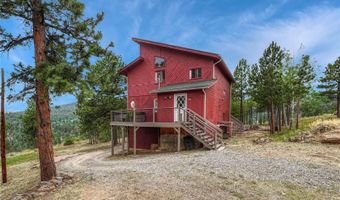 19 E Pine Dr, Bailey, CO 80421
