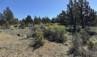 Bluebill Lane, Bonanza, OR 97623