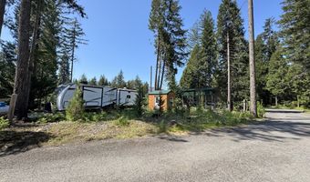54432 McKenzie Hwy 35, Blue River, OR 97413