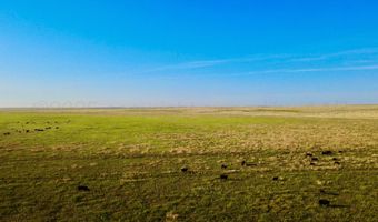 Oldham County Grass +/- 1 478, Adrian, TX 79001