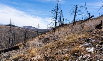 3600 Moondance Way, Bellvue, CO 80512