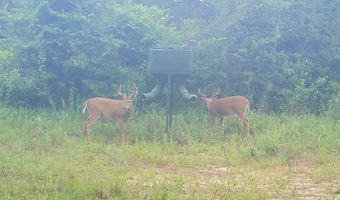 Harry Priddy Road, Americus, GA 31719