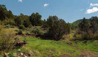 3691 E Sopris Creek Rd, Basalt, CO 81621
