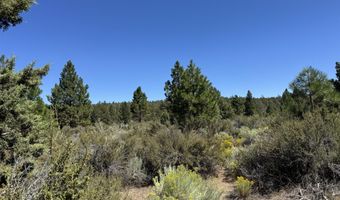 Bufflehead Drive 18, Bonanza, OR 97623