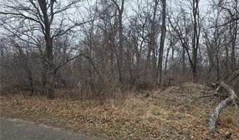 L1 B2 288th Avenue NW, Baldwin Twp., MN 55398