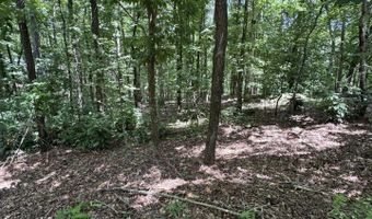 49 La Granja Cir, Hot Springs Village, AR 71909