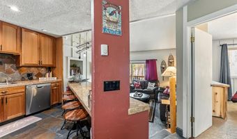 550 S FRENCH St 205, Breckenridge, CO 80424