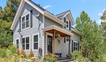 323 N OAK St, Alma, CO 80420