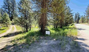93 E Prospectors, Cascade, ID 83611
