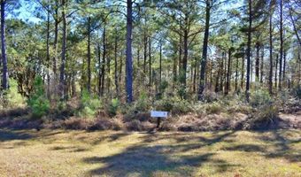 Lot 5/6 Block A Mountain View Way 5, 6, Bainbridge, GA 39819