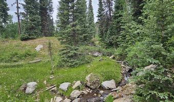 4566 Middle Mountain Rd, Bayfield, CO 81122