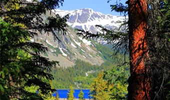 868 NUTHATCH Dr, Alma, CO 80420