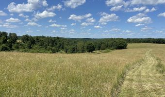 22017 E State Hwy 76, Ava, MO 65608