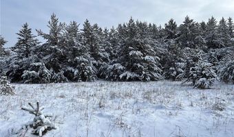1707 Hassman Hill Tract F Rd SW, Pine River, MN 56474