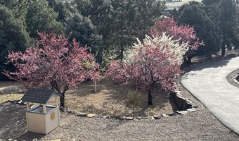 1530 Moss Cir, Gardnerville, NV 89410