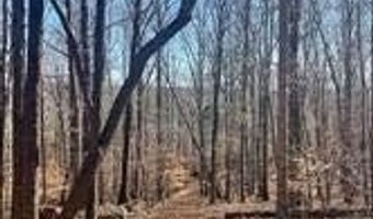 Flint Ridge Road lot 6, Albemarle, NC 28001