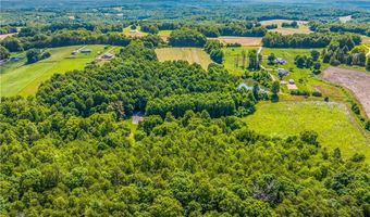 157 Buttercup Ln, Ararat, NC 27007