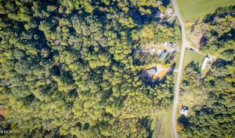 Davis Valley Road lot 8 & 11, Afton, TN 37616