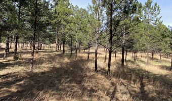 Tract 48 Hickok Drive, Hot Springs, SD 57730