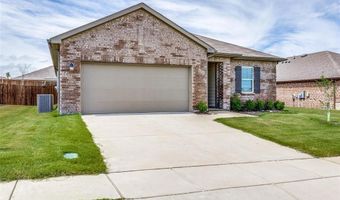 825 Cherry Blossom St, Anna, TX 75409