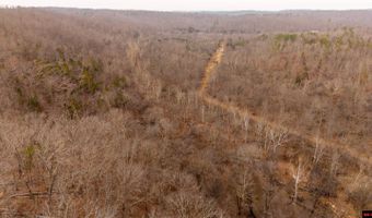 CR 19-A, Alton, MO 65606